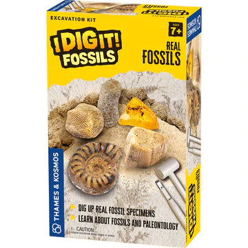 I Dig It! Fossils | Real Fossils Excavation Kit