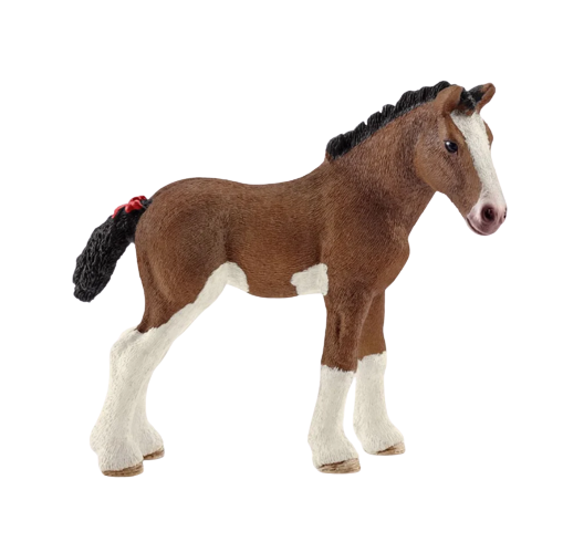 Clydesdale foal