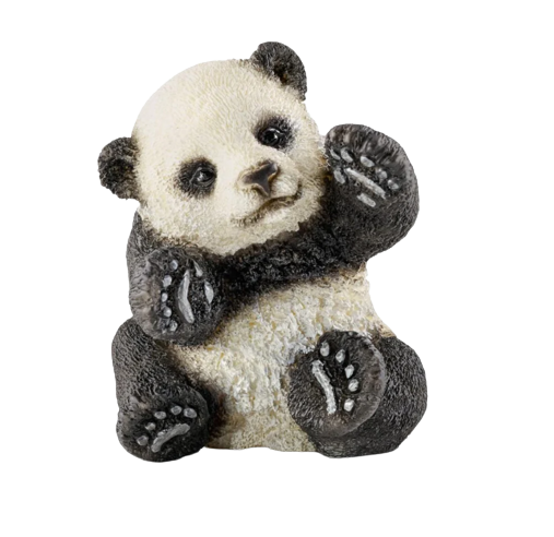 Panda Cub | Playing