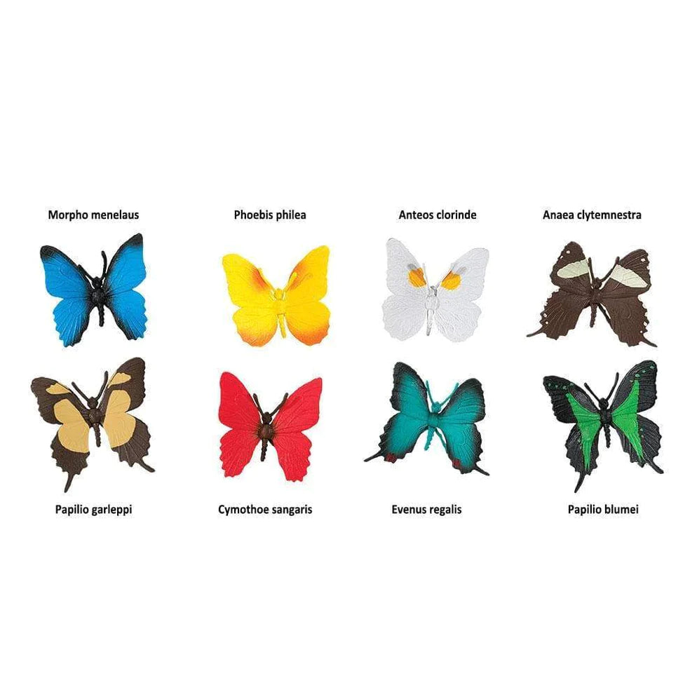 Butterflies | TOOB