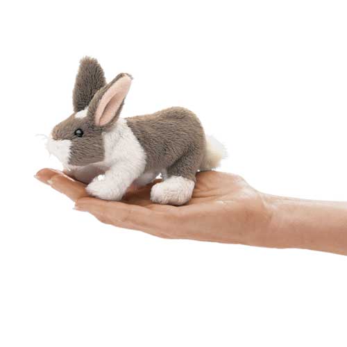 Mini Bunny Rabbit